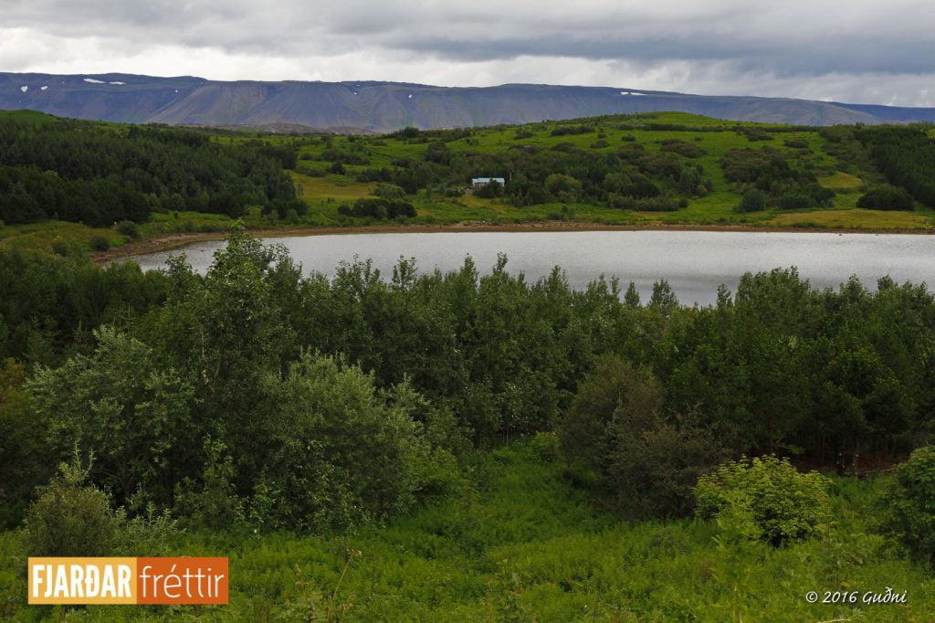 Við Hvaleyrarvatn